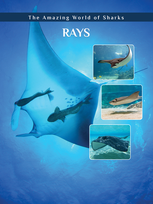Title details for Rays by Elizabeth Roseborough - Available